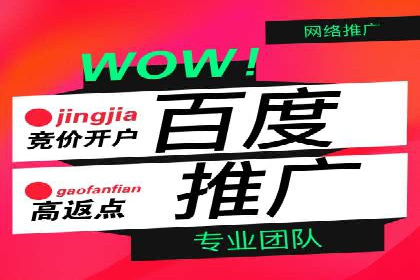 揭秘百度推广代理商：广告投放背后的秘诀